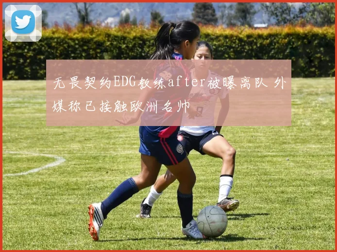 无畏契约EDG教练after被曝离队 外媒称已接触欧洲名帅